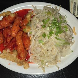 The Wishing Well - Sweet  & Sour Chicken and Pork Chow Mein