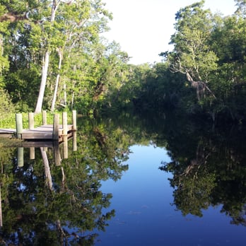 Thomas Creek Preserve - Boating Near Me - Jacksonville, Florida Thomas Creek Preserve - Boating Near Me - Jacksonville, Florida