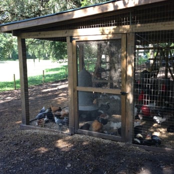 Lake Meadow Naturals - Chickens - Farmers Market Near Me - Ocoee, Florida