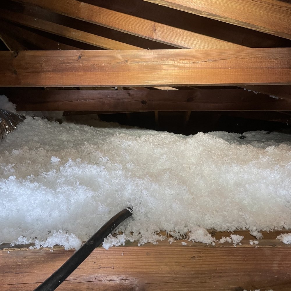 Gale Insulation - They did a great job! We noticed a difference right away. - Insulation Installation Near Me - Oldsmar, Florida Gale Insulation - They did a great job! We noticed a difference right away. - Insulation Installation Near Me - Oldsmar, Florida