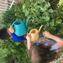 Montessori Children's Garden - Learning responsibility and teamwork as we care for our garden--one watering can at a time.