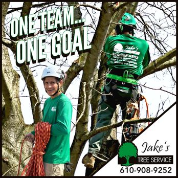 Jake's Tree Service - #OneTeamOneGoal - Tree Services Near Me - Glen Mills, Pennsylvania Jake's Tree Service - #OneTeamOneGoal - Tree Services Near Me - Glen Mills, Pennsylvania