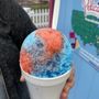 Photo of Pelicans Snoballs