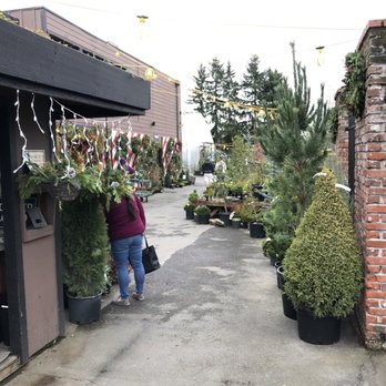 Portland Nursery - Side Entrance - Nurseries & Gardening Near Me - Portland, Oregon Portland Nursery - Side Entrance - Nurseries & Gardening Near Me - Portland, Oregon