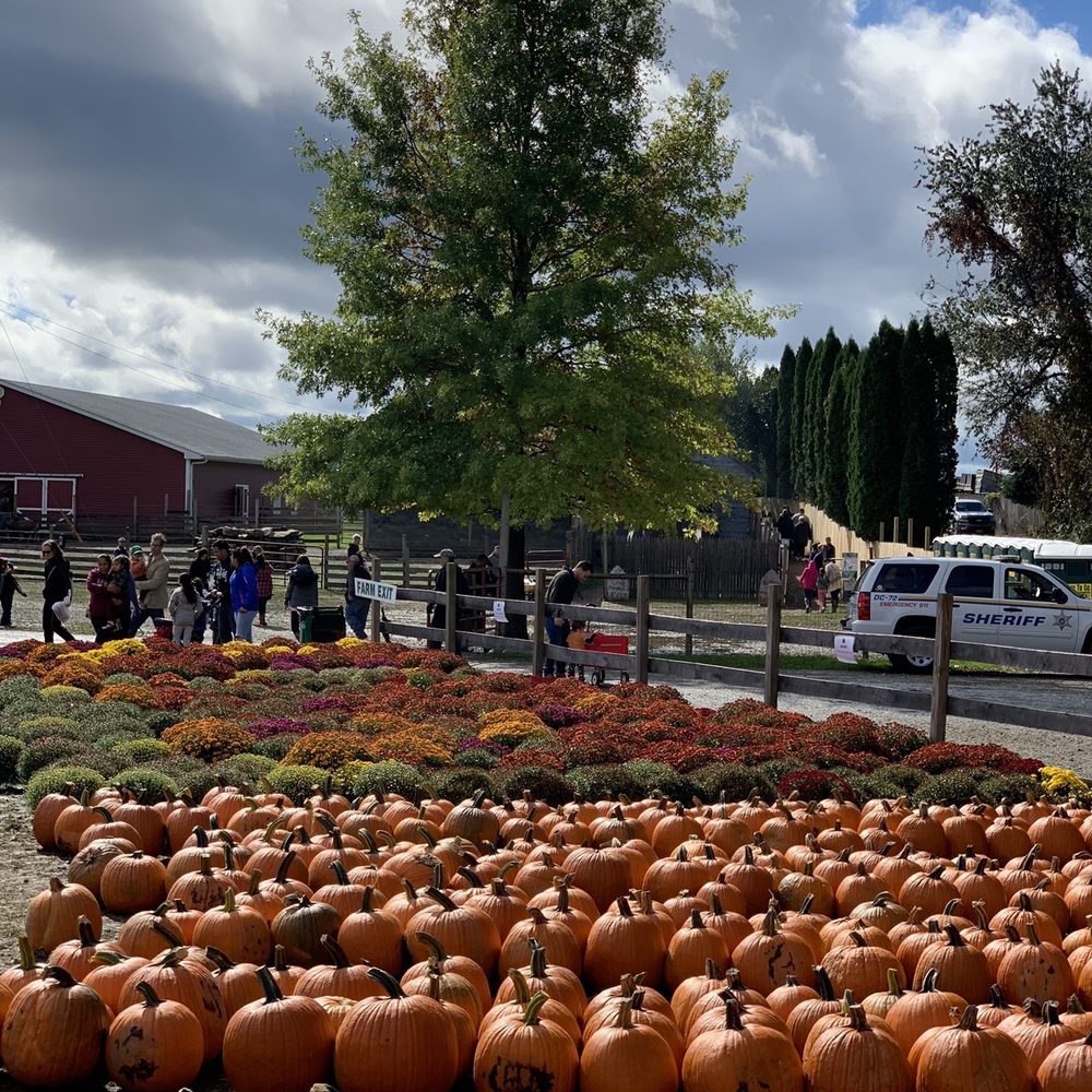 Barton Orchards - Farmers Market Near Me - Poughquag, New York