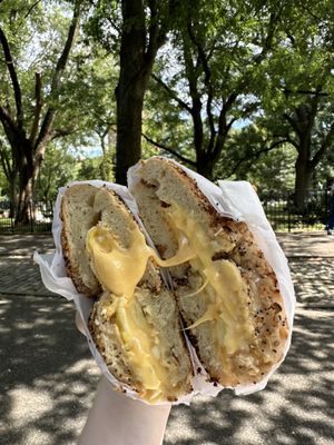 Tompkins Square Bagels by null