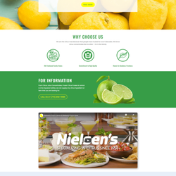Hoola Marketing - A brand new website for Nielsen Citrus - a family owned citrus juice manufacturer based in HB. https://www.nielsencitrus.com/