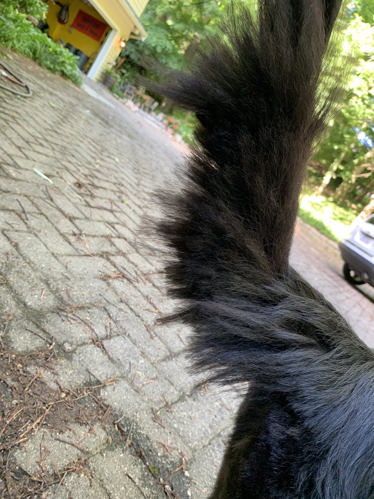 Bubbles and bows near me Clearance