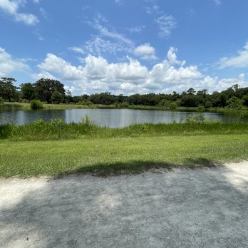 Pedrick Pond Park - Parks Near Me - Tallahassee, Florida Pedrick Pond Park - Parks Near Me - Tallahassee, Florida