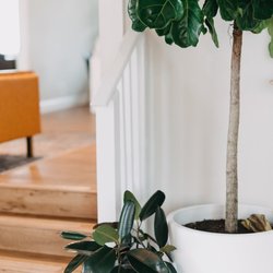 Dallas Pelvic Health - The inside of Dallas Pelvic Health