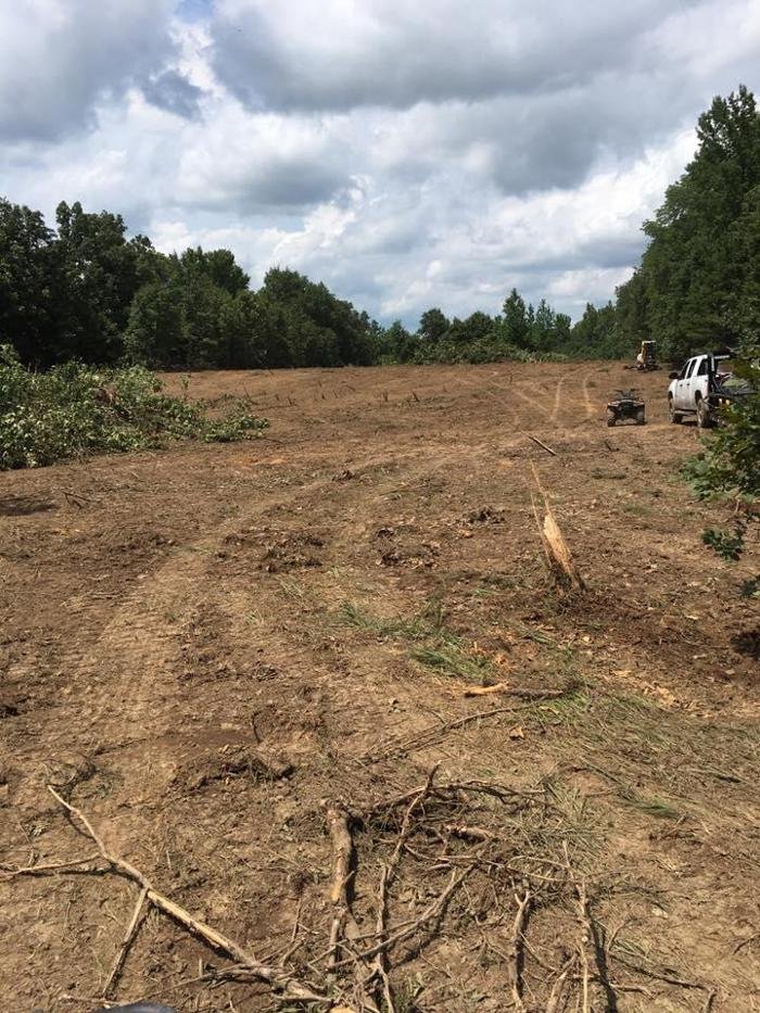 Slide of Mandy's Septic Solutions