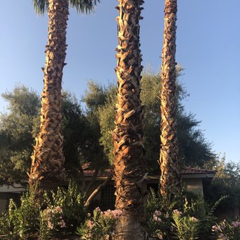 Results Landscape Services - Lawn Services Near Me -  Las Vegas, Nevada