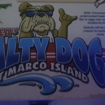 2 Shea's Salty Dog - American Near Me - Marco Island, Florida 2 Shea's Salty Dog - American Near Me - Marco Island, Florida