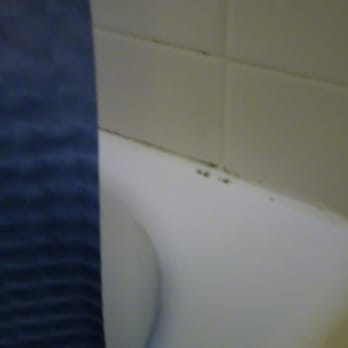 Parrot Nest Motel - Dirty shower #4 - Hotels Near Me - Sanibel, Florida Parrot Nest Motel - Dirty shower #4 - Hotels Near Me - Sanibel, Florida