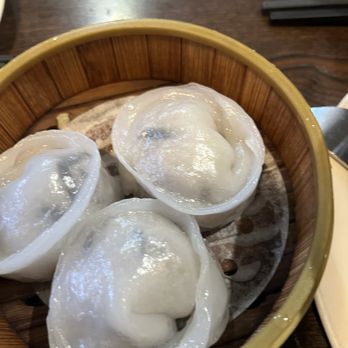 Purple Dot Cafe - Vegetable dumplings - Dim Sum Near Me - Seattle, Washington Purple Dot Cafe - Vegetable dumplings - Dim Sum Near Me - Seattle, Washington