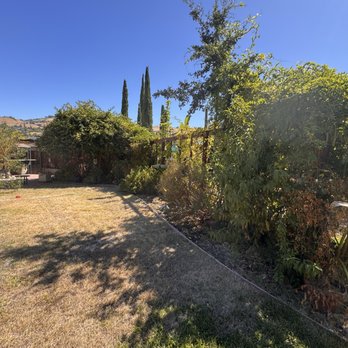 Rico Landscape - Dead shrubs and flowers. - Irrigation Near Me - Campbell , California Rico Landscape - Dead shrubs and flowers. - Irrigation Near Me - Campbell , California
