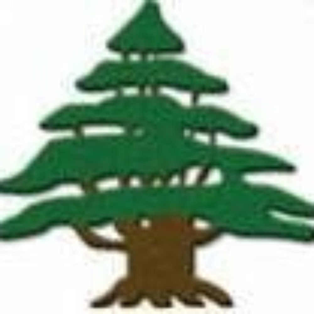Cedars Restaurant - Lebanese Near Me - Camp Hill, Pennsylvania Cedars Restaurant - Lebanese Near Me - Camp Hill, Pennsylvania
