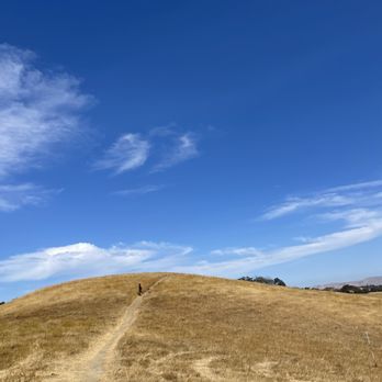 Briones Regional Park - Hill, Briones regional - Parks Near Me - Martinez, California Briones Regional Park - Hill, Briones regional - Parks Near Me - Martinez, California