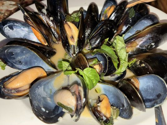 Celeste by null Celeste by null