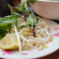 Yume House Pho - Side of bean sprouts, jalapeños, basil, ans lemon
