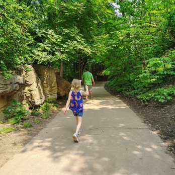 Saint Louis Zoo - The foliage in the park is really remarkable and enjoyable. - Zoos Near Me - St Louis, Missouri
