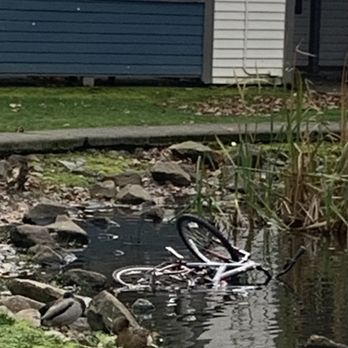 Central Flats - They will try to advertise beautiful water areas, they are full of trash. Again from the children unsupervised, raising themselves. - Apartments Near Me - Kent, Washington