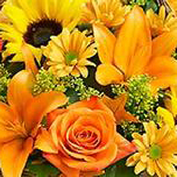 Miriam's Flower Shop - Florists Near Me - Brooklyn, New York