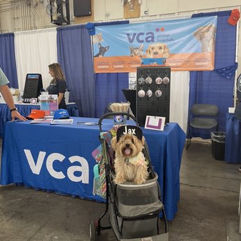 Hawaii Pet Expo - We love VCA, they were giving away free keychains - Festivals Near Me - Honolulu, Hawaii Hawaii Pet Expo - We love VCA, they were giving away free keychains - Festivals Near Me - Honolulu, Hawaii