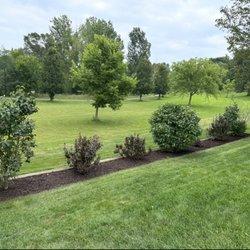 Greener Lawn Care