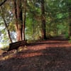 Long Point State Park gift card