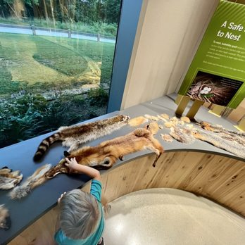 Ozark Highlands Nature Center - Museums Near Me - Springdale, Arkansas Ozark Highlands Nature Center - Museums Near Me - Springdale, Arkansas