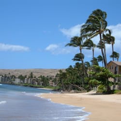 Maalaea Banyans