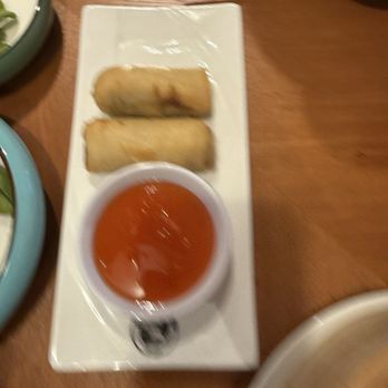 Kungfu Kitchen - Spring Rolls - Dim Sum Near Me - Brandon, Florida