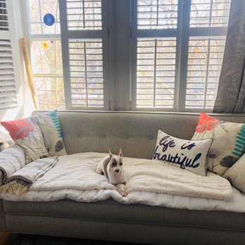 Urban Cottage - Doggie approved :) - Furniture Stores Near Me - Atlanta, Georgia Urban Cottage - Doggie approved :) - Furniture Stores Near Me - Atlanta, Georgia