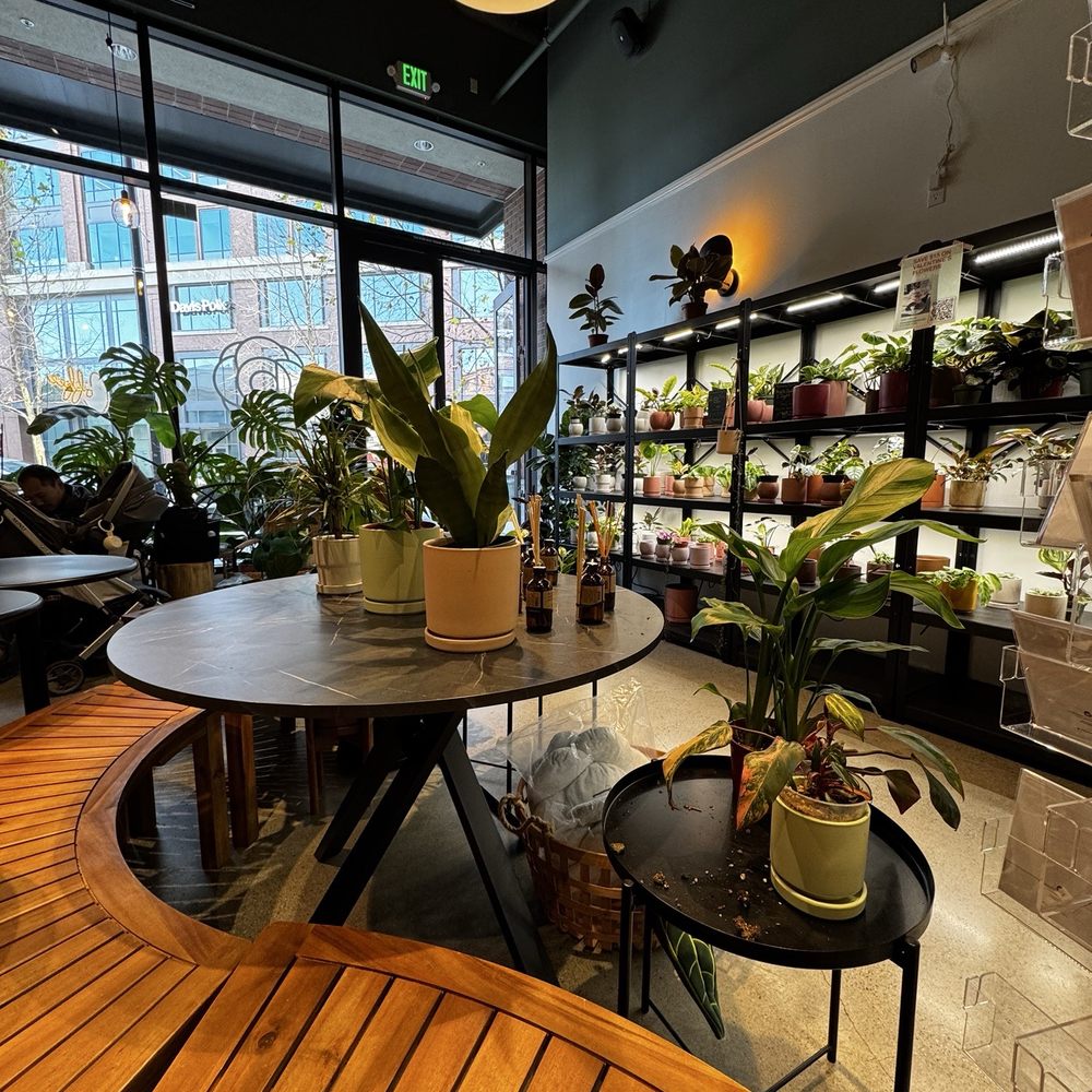 Bloomsgiving - Florists Near Me - Redwood City, California