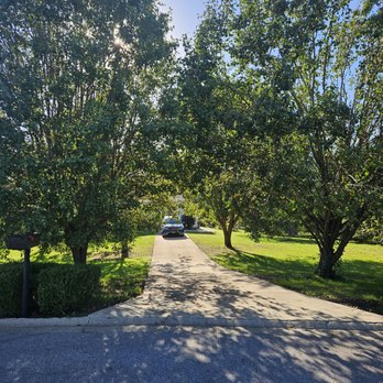Curtsinger's Tree Service - Tree Services Near Me - Mount Sterling, Kentucky Curtsinger's Tree Service - Tree Services Near Me - Mount Sterling, Kentucky