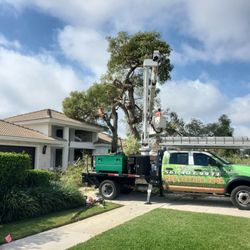 Boynton Beach Tree Service - We like to always deliver a good job