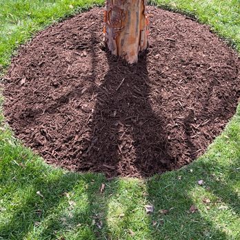 Merchant Landscaping - a tree in a mulch bed - Landscaping Near Me Merchant Landscaping - a tree in a mulch bed - Landscaping Near Me