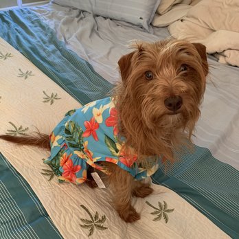 Sunrise Emporium Hanalei - Kathy was great and helped us find and pick out this cute dress. Mahalo! - Souvenir Shops Near Me - Hanalei, Hawaii