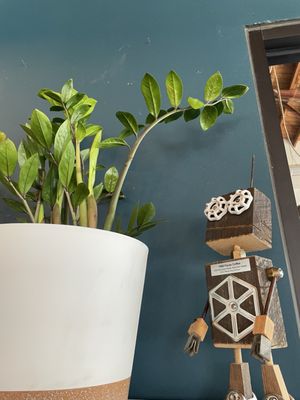 1000 Faces Coffee by null