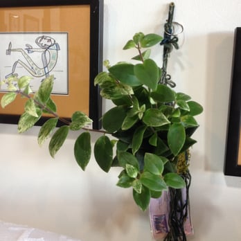 Kodama Forest - Gift Shops Near Me - San Diego, California