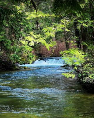 Whatcom Falls by null