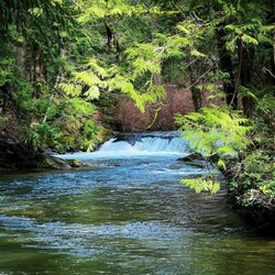 Whatcom Falls Park - Smaller falls further upstream