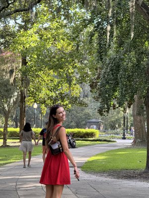 Forsyth Park by null