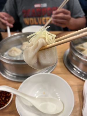 Luscious Dumplings by null