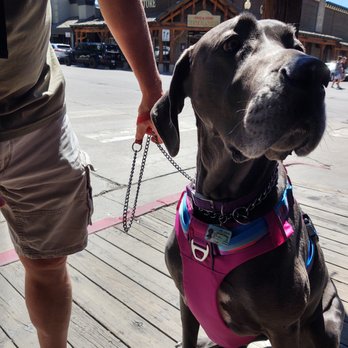 Jackson Drug - Even the Pets love them!!!! - American Near Me - Jackson, Wyoming