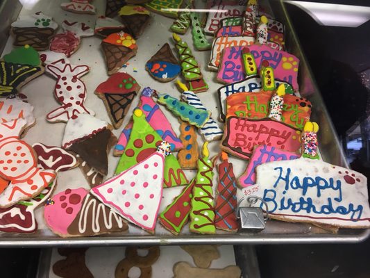 Holistic Dog Treats - At Barking Dog, every treat is crafted with purpose.From nutrient-rich biscuits to custom celebration cakes, our baked goods are designed to support your dog's health while delivering flavors they love. Using carefully selected ingredients and a holistic approach to canine nutrition, we create treats that are both delicious and functional for dogs of all sizes and ages.