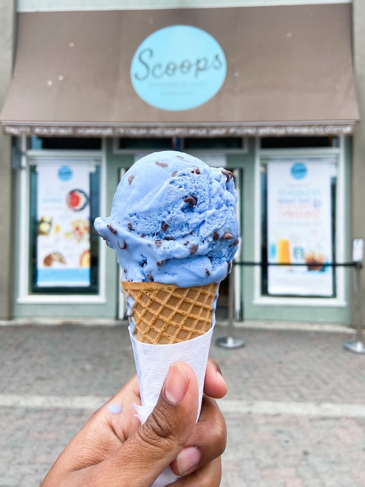 SCOOPS HOMEMADE ICE CREAM 665 Photos & 406 Reviews 501 Crescent Ave