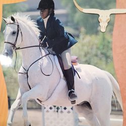 Hansen Dam Riding School - Winter and nikqua