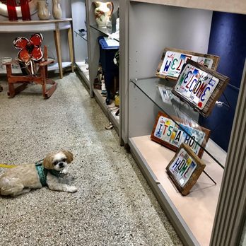 Knot On Main Street - Mocha Coconut loves checking out all the cool stuff. They are super dog friendly here! - Antiques Near Me - Dunedin, Florida